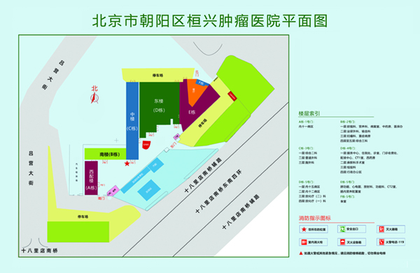 多人插骚逼视频北京市朝阳区桓兴肿瘤医院平面图